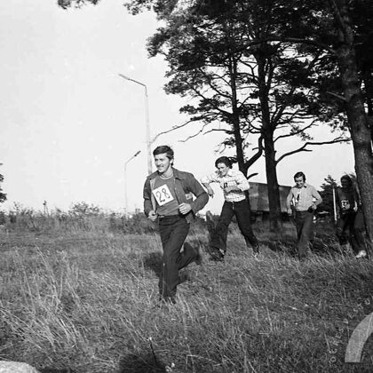 Turpat blakus šoseja un autobusu pietura "Priedītes"