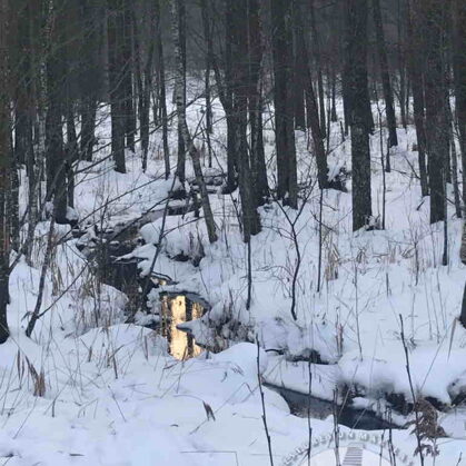 Norupīte tek cauri mežam un apkārt Ogres kapiem, 2021. gads