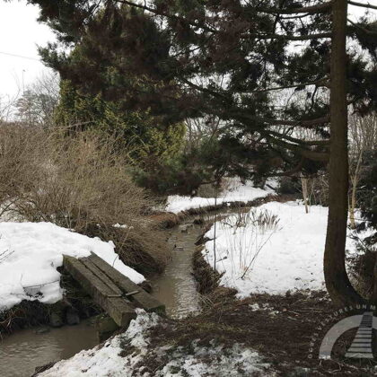 Lebiņas upe pie tirdzniecības centra “Dauga”. 2021. gads