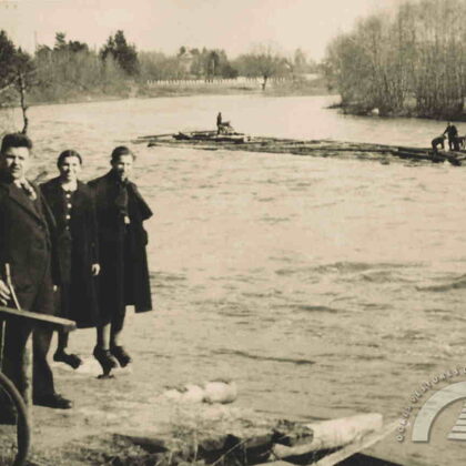Koku pludināšana Ogres upē, 20. gs. 30. gadi